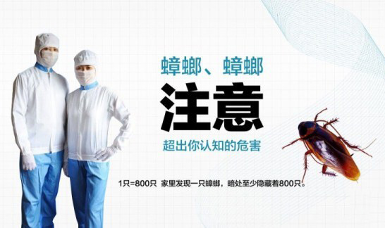 綜合蟲(chóng)害管理