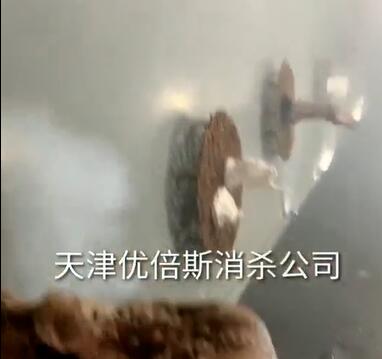 消毒現(xiàn)場(chǎng)