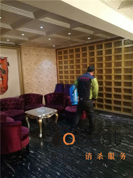 成功案例