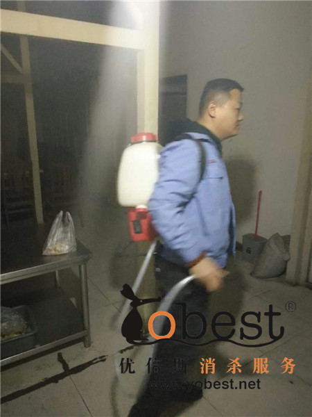 成功案例