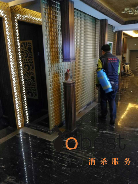成功案例