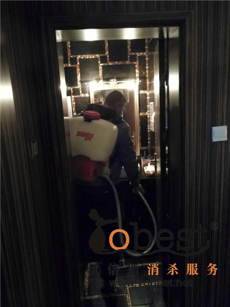 成功案例
