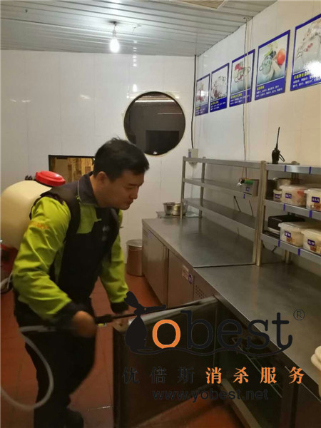 成功案例