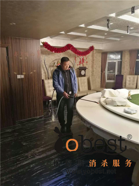 成功案例