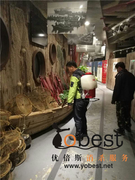 成功案例