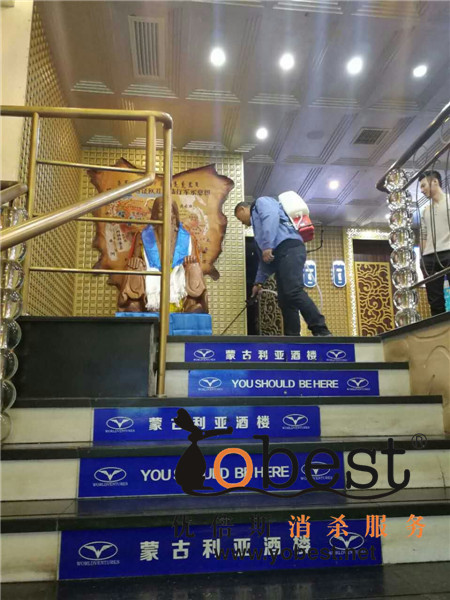 成功案例
