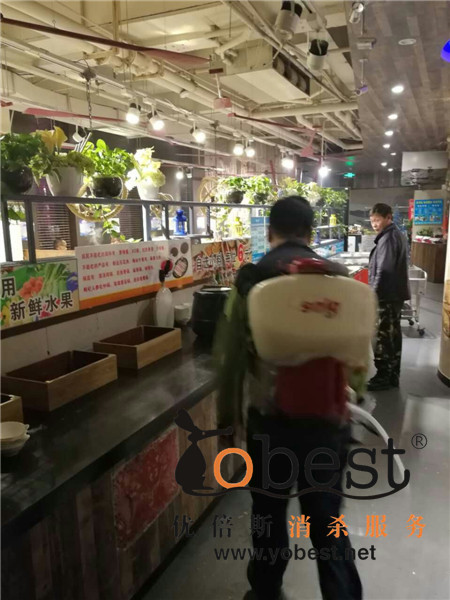 成功案例