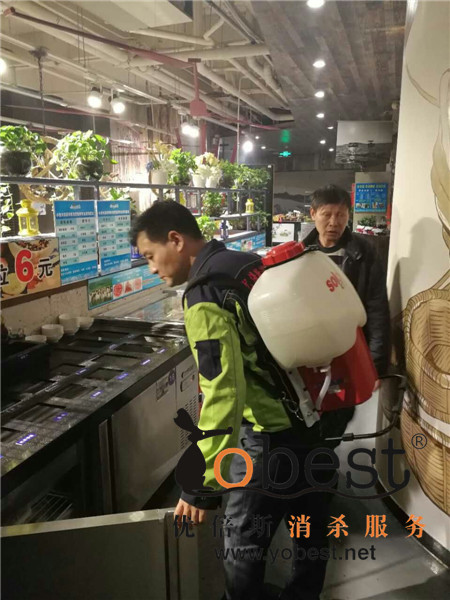 成功案例