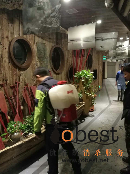 成功案例