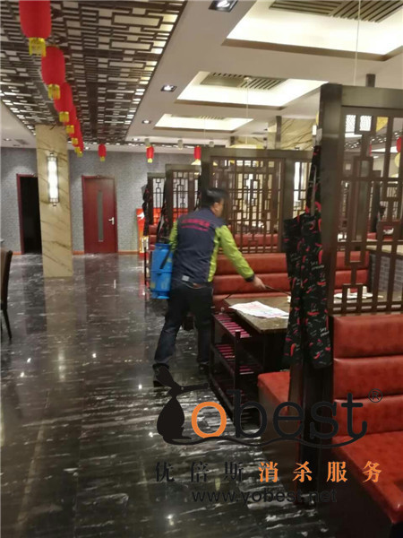 成功案例