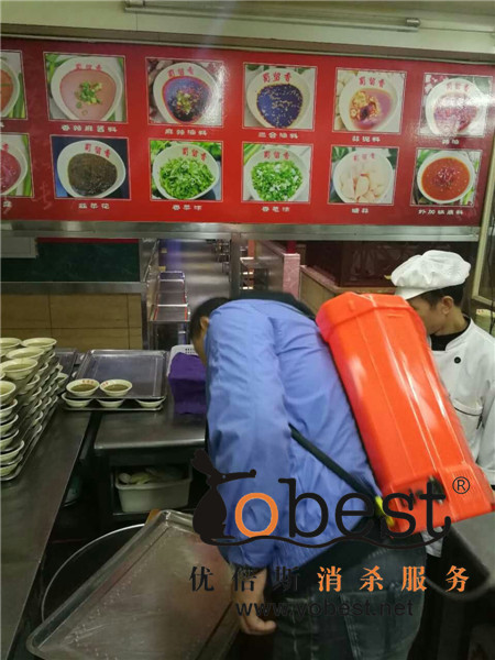 成功案例