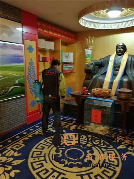 成功案例