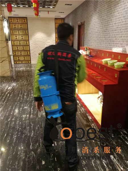 成功案例