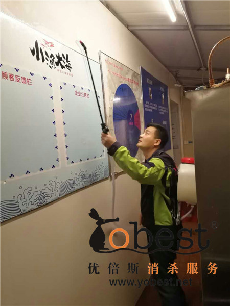 成功案例