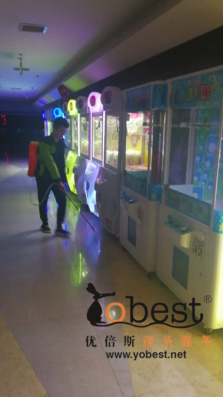 成功案例