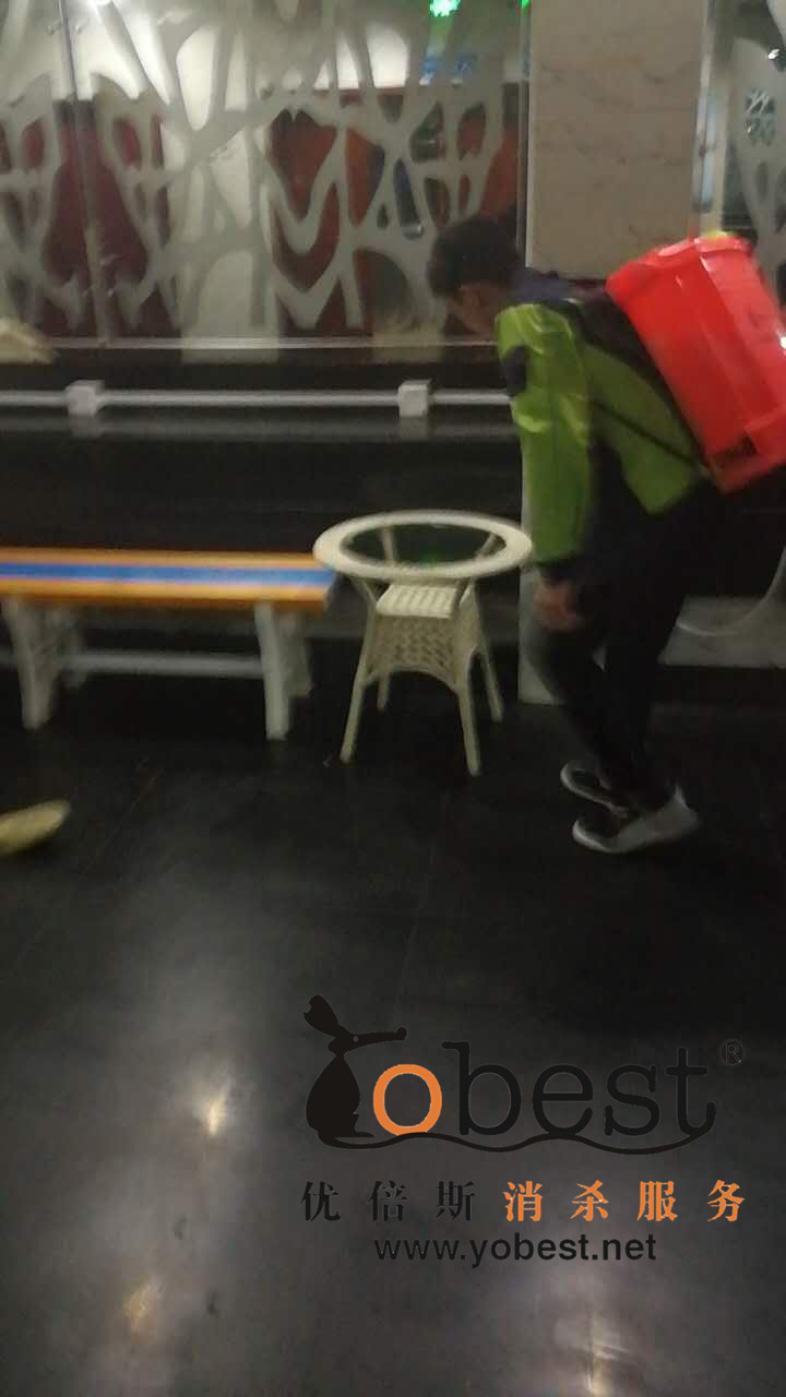 成功案例