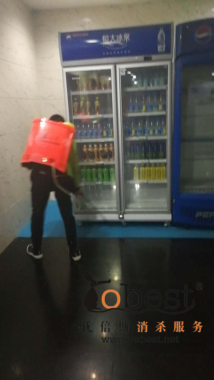 成功案例