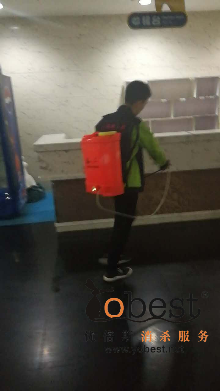 成功案例