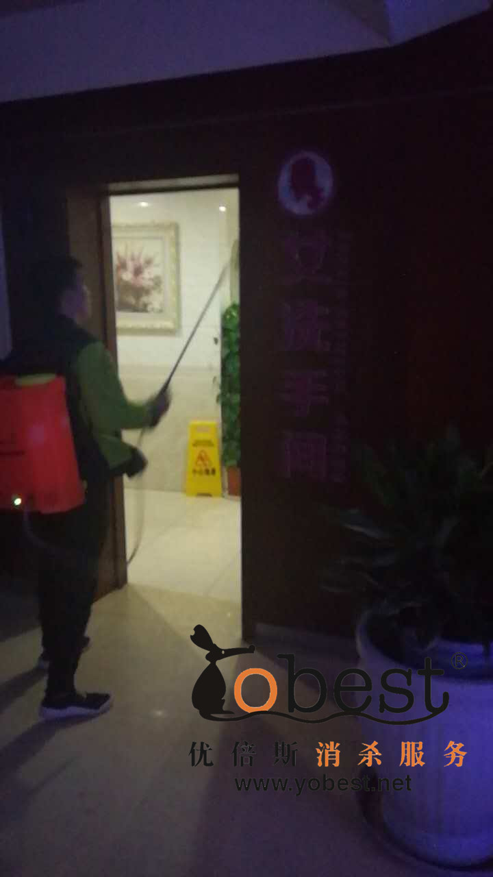 成功案例