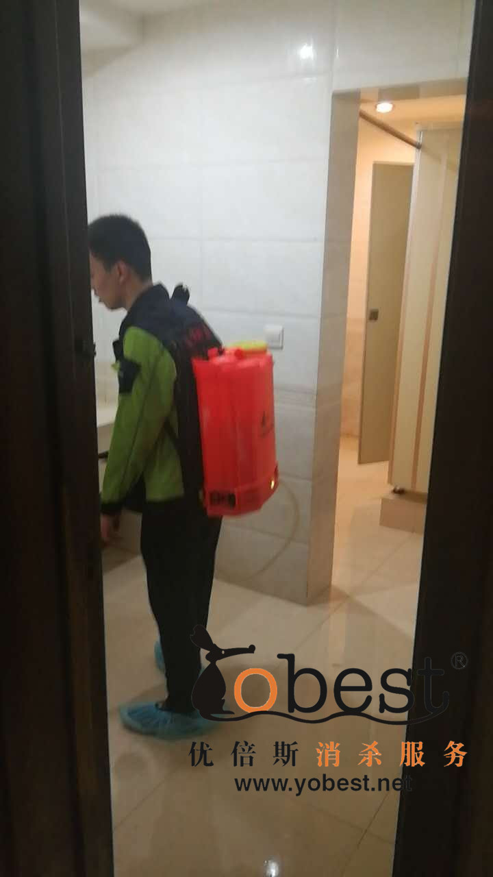 成功案例