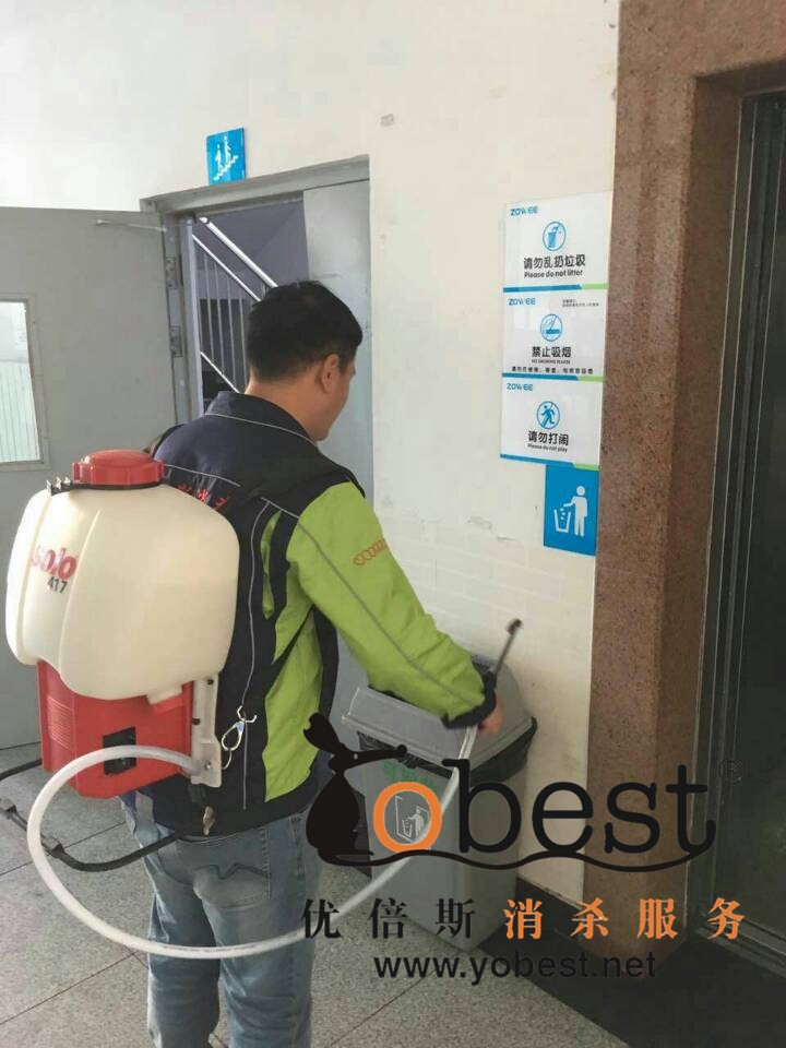 成功案例