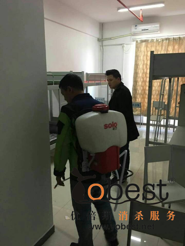 成功案例
