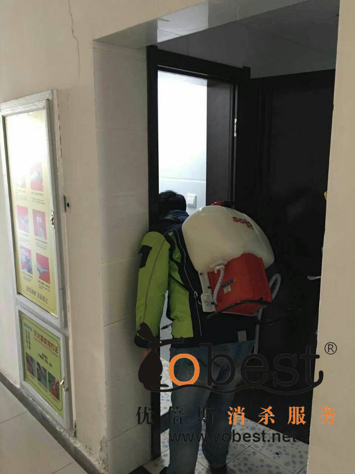 成功案例