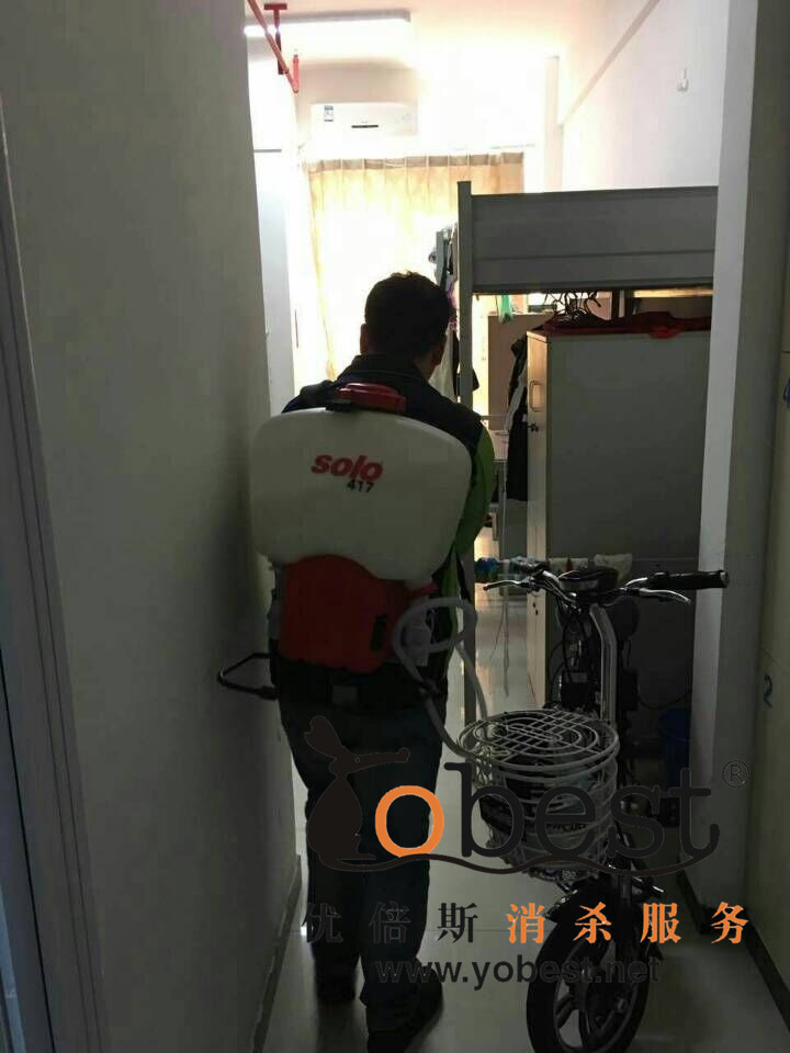 成功案例