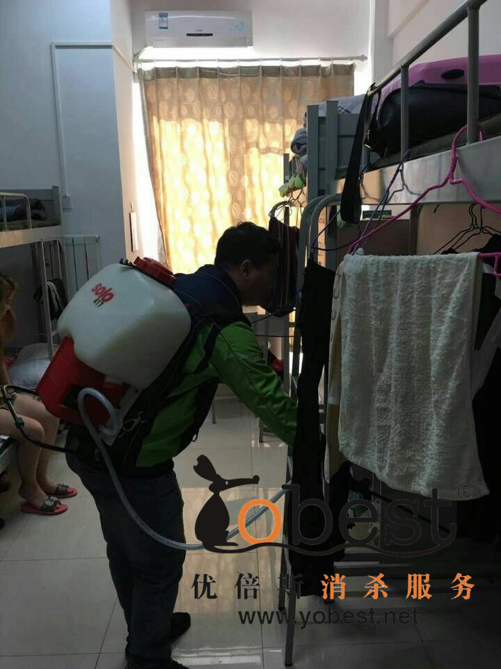 成功案例