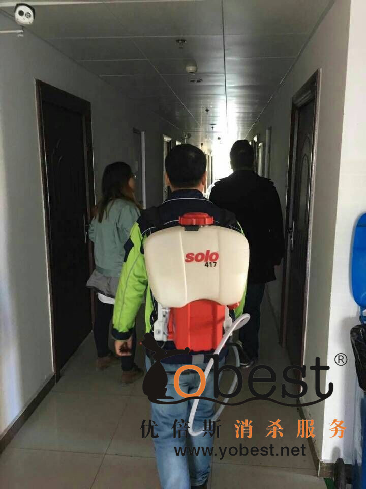 成功案例