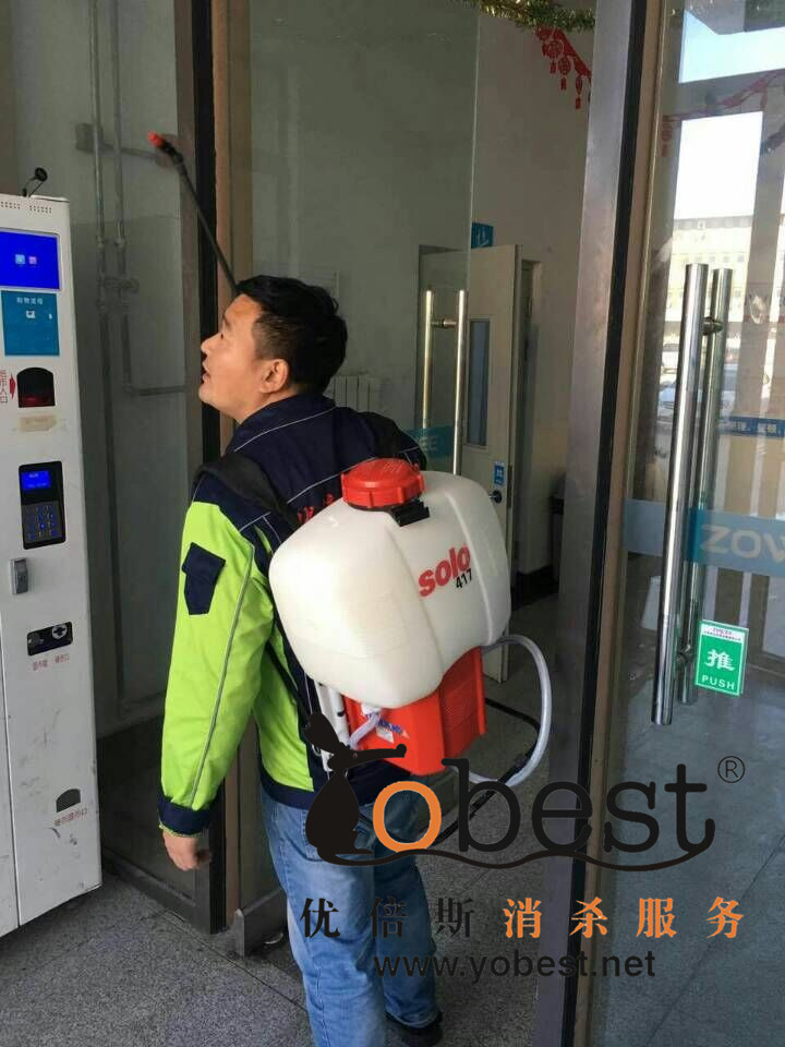 成功案例