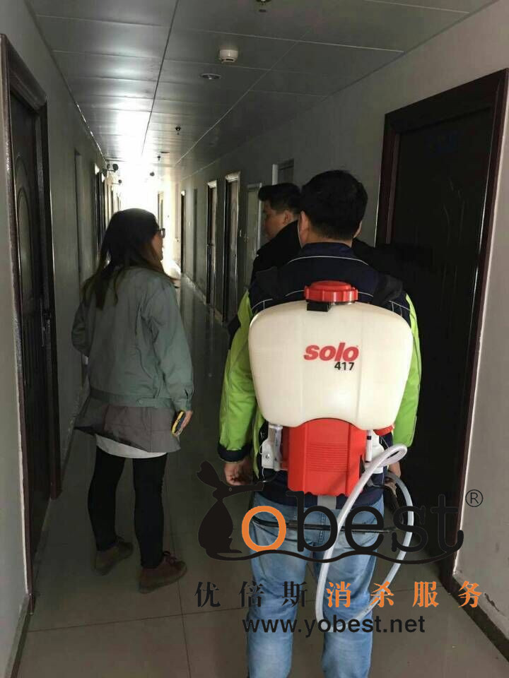 成功案例