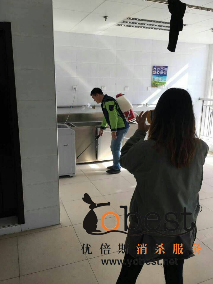 成功案例