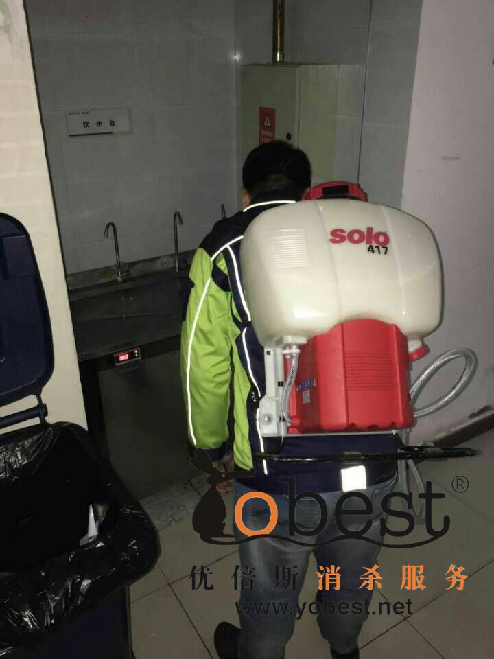 成功案例
