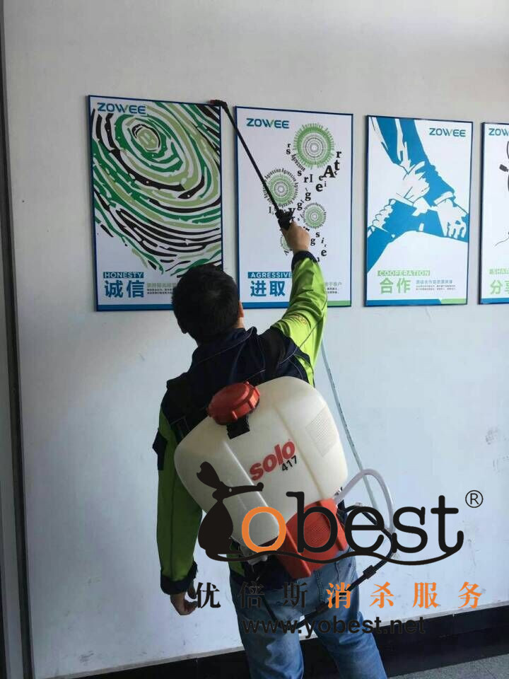 成功案例