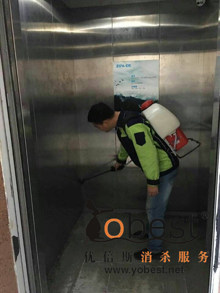 成功案例