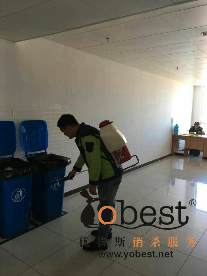 成功案例