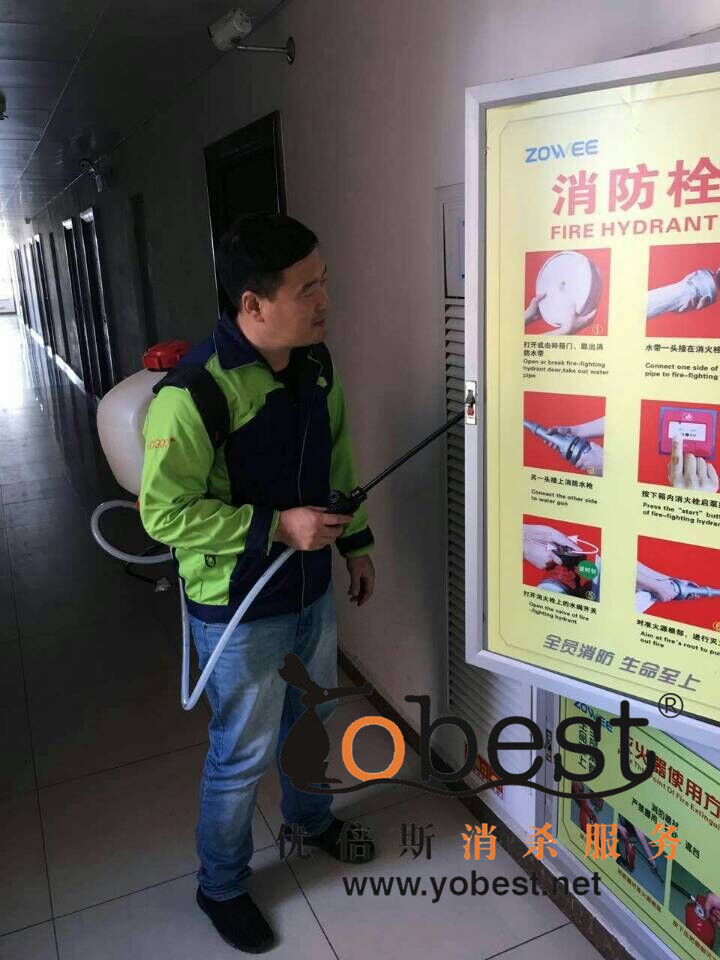 成功案例
