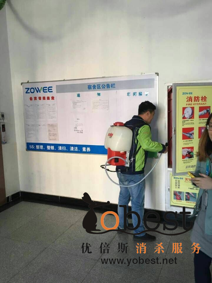 成功案例