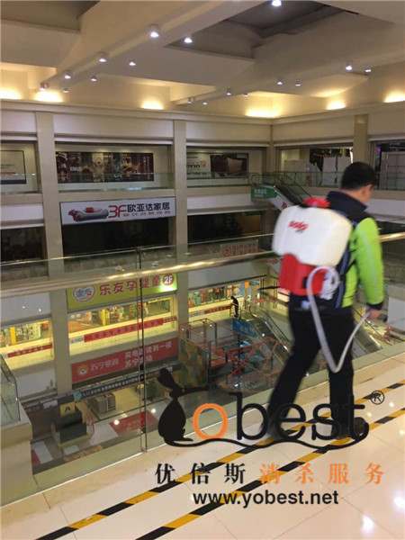 成功案例