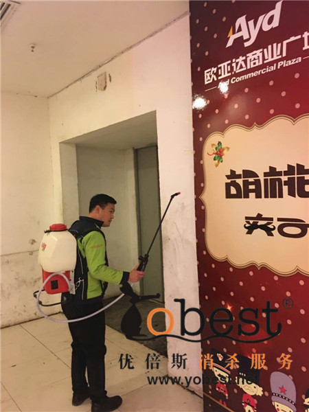 成功案例