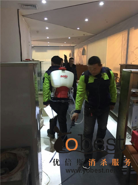成功案例