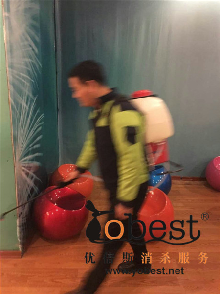 成功案例