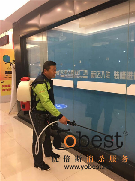 成功案例