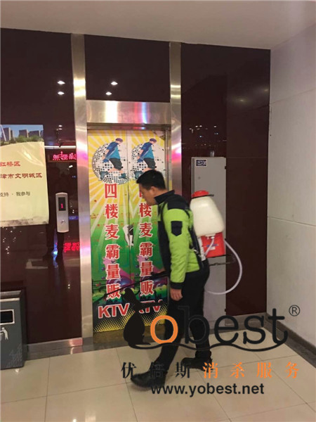 成功案例