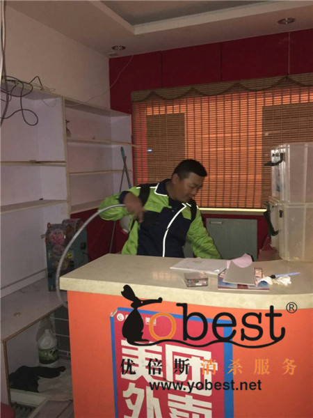 成功案例