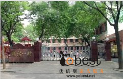 成功案例