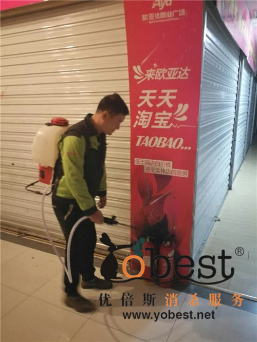 成功案例