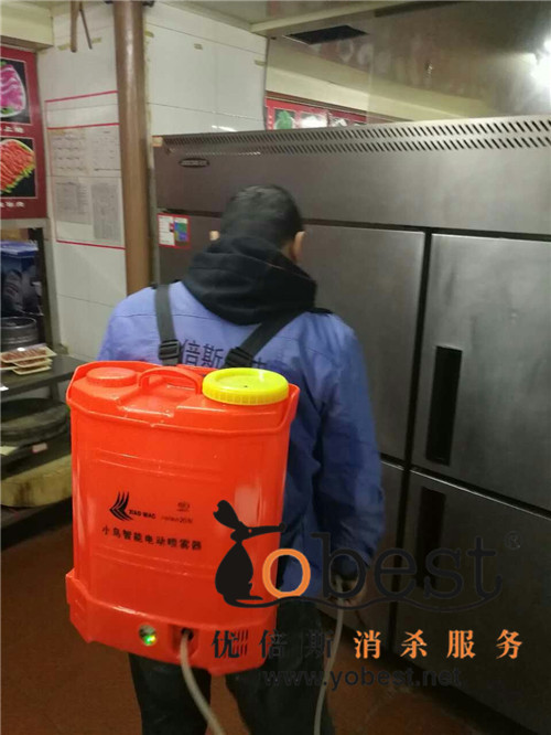 成功案例