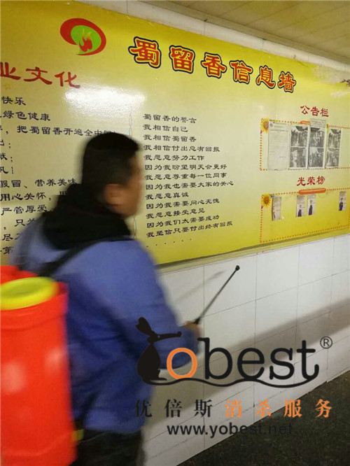 成功案例